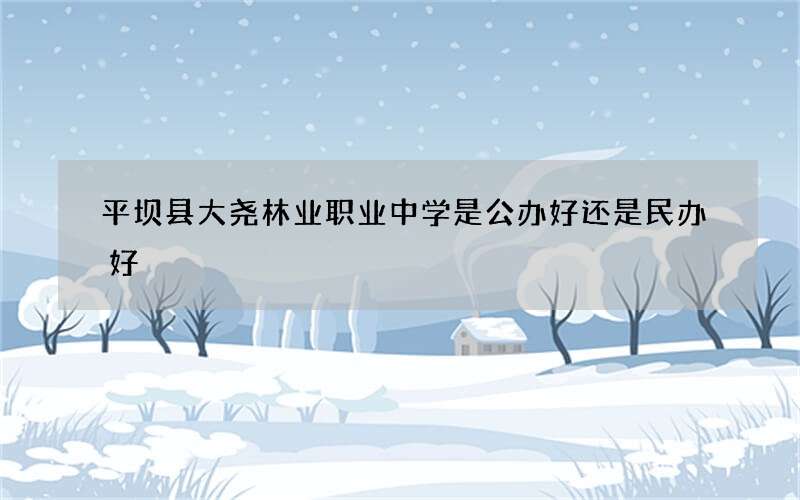 平坝县大尧林业职业中学是公办好还是民办好