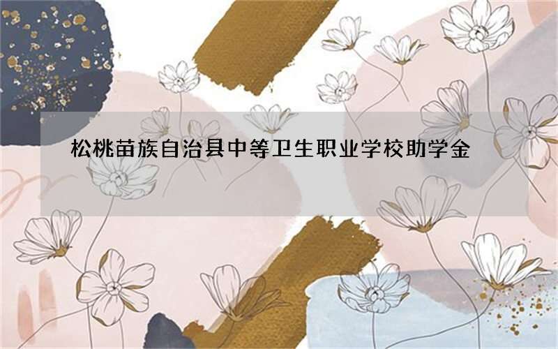 松桃苗族自治县中等卫生职业学校助学金